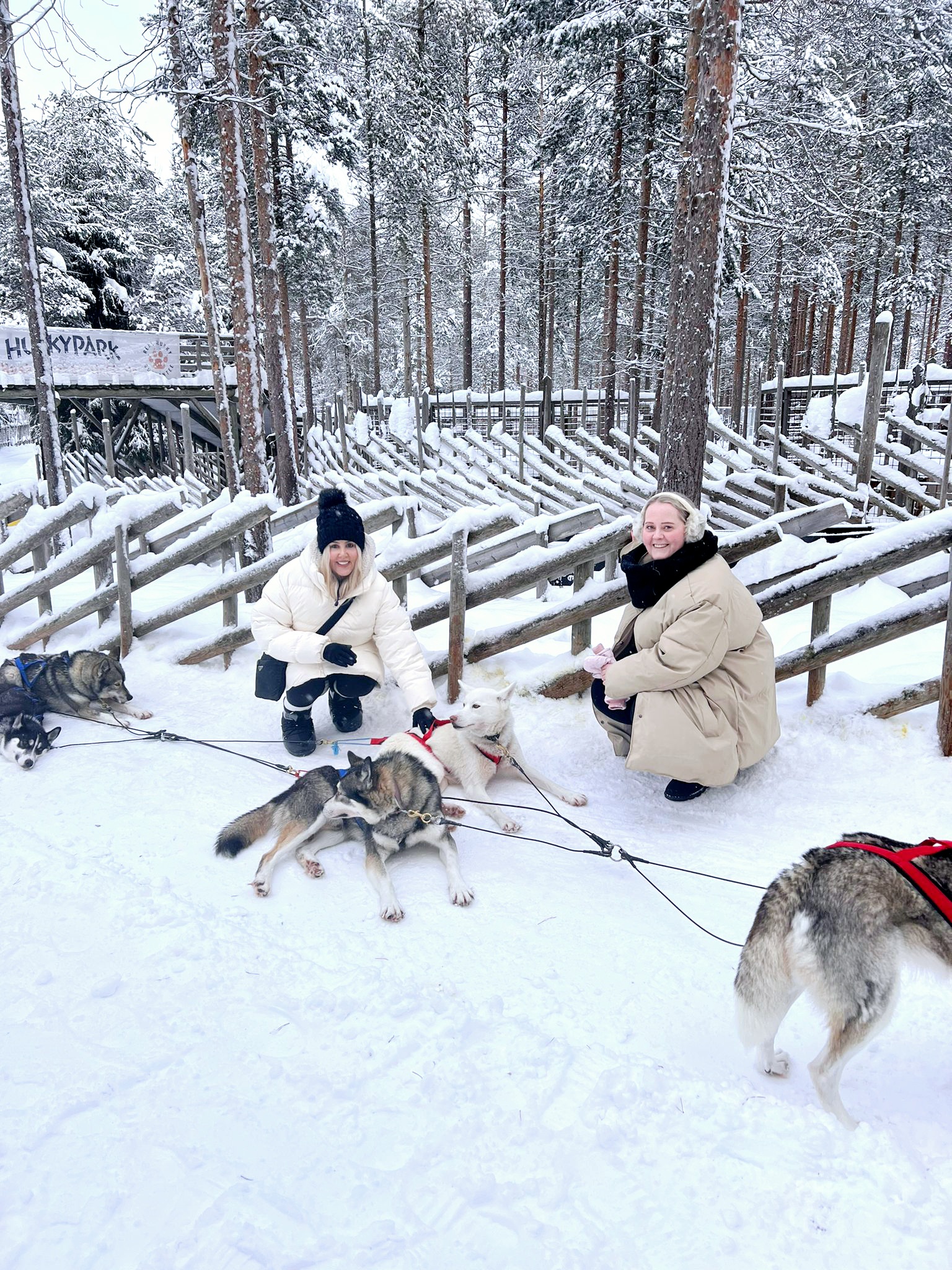 Lapland on a Budget: Our 3 Day Rovaniemi Itinerary