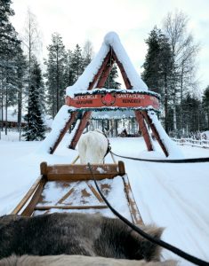 Reindeer Sleigh at Santa Claus Village