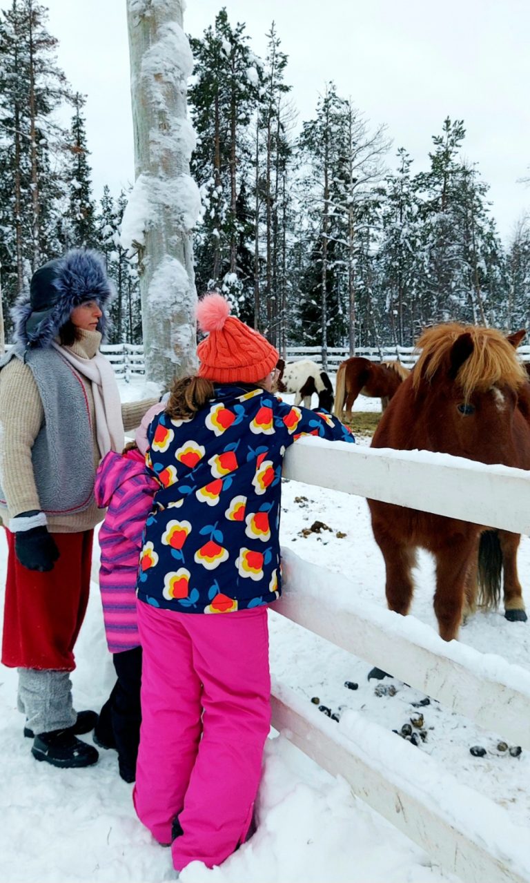 Lapland on a Budget
