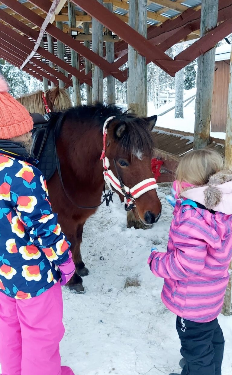 Lappin Saaga Pony Trekking in the snow