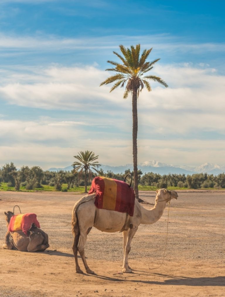 Marrakech: Activities to do