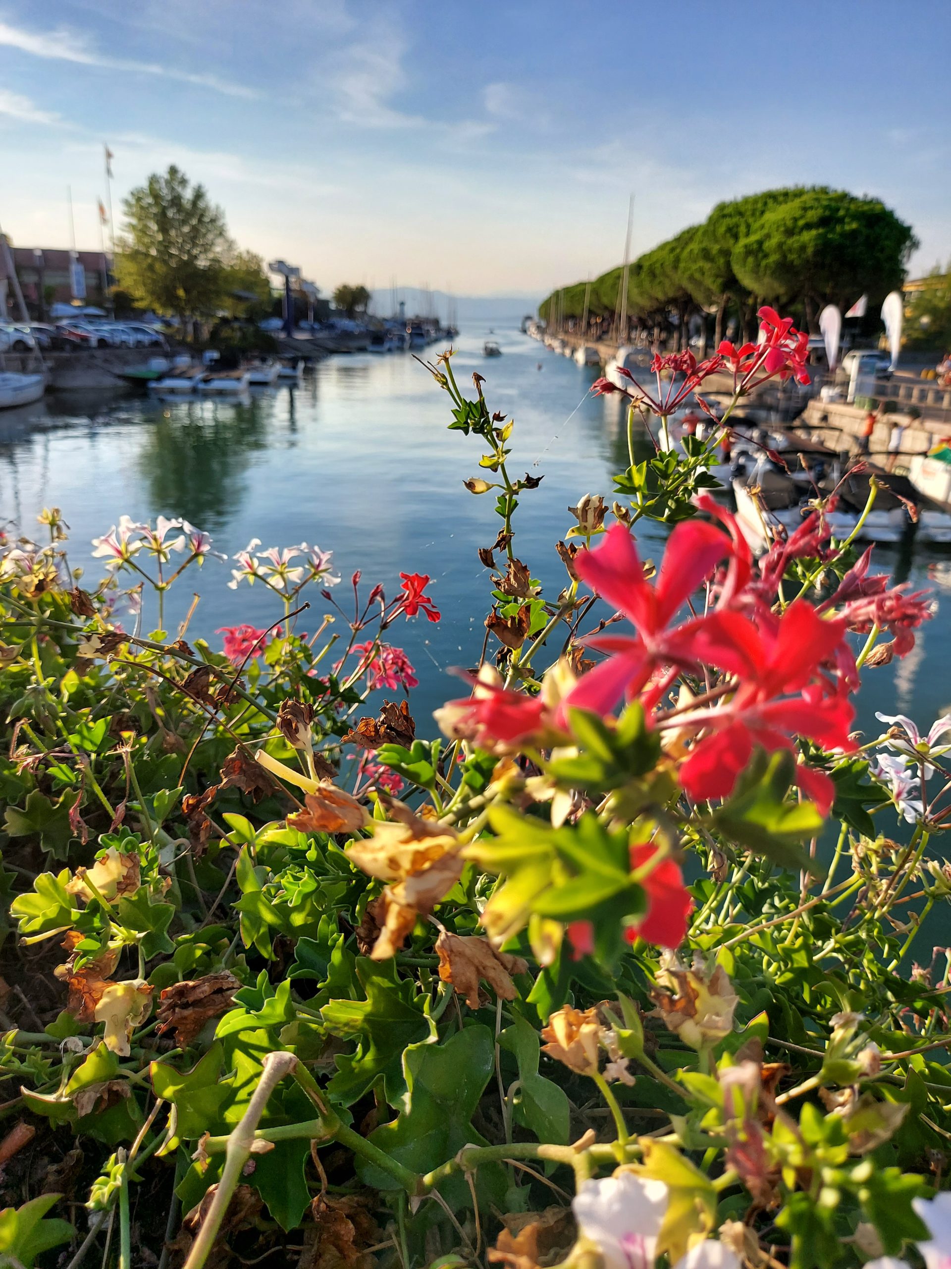 Peschiera del Garda in South Lake Garda, Italy, with harbour views and lakeside walkway