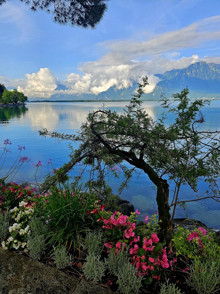 Lac Lemen Montreux- Interlaken itinerary
