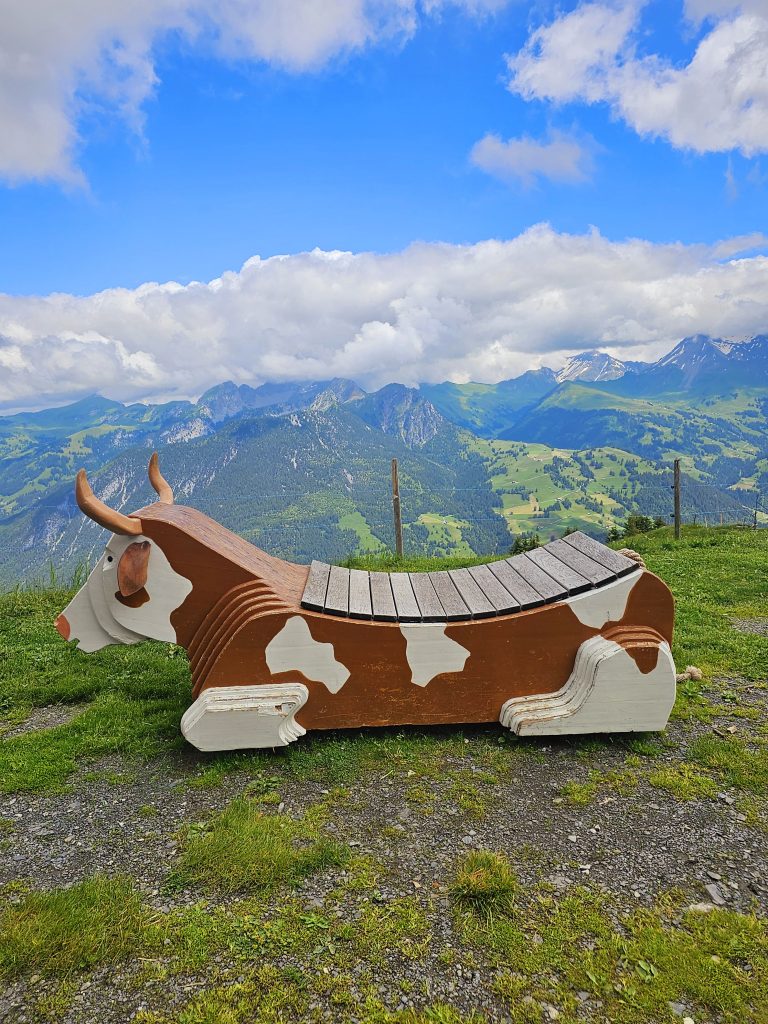 Rinderberg Mountain, Cable Car