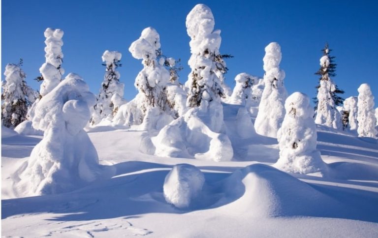 Things to do in Ruka & Kuusamo