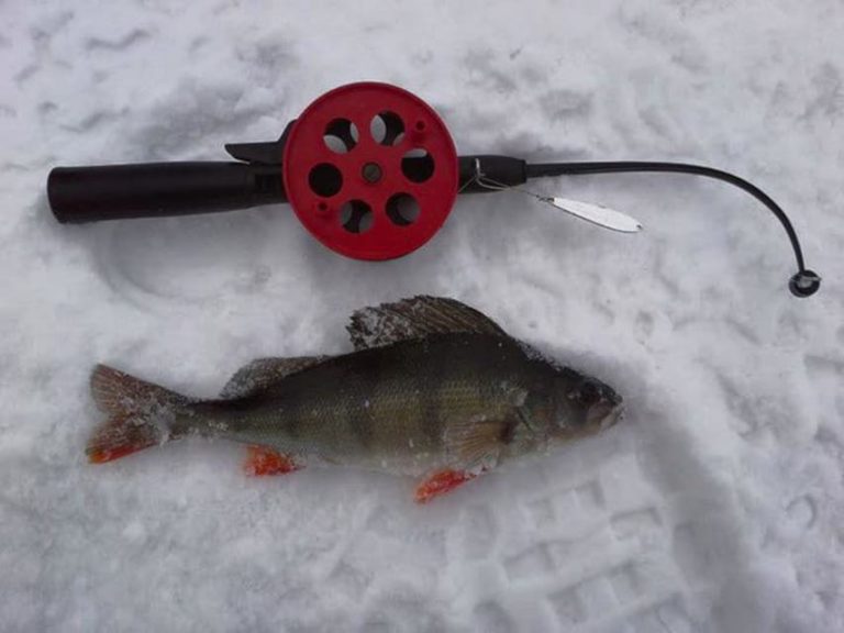 Things to do in Ruka Ice Fishing