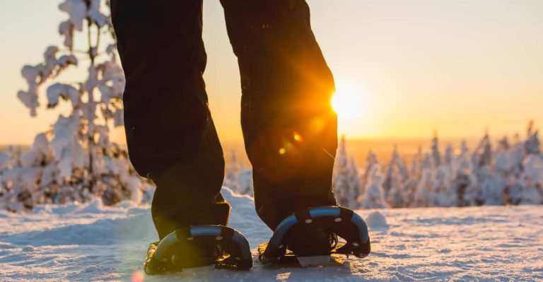 Things to do in Levi- Snowshoe
