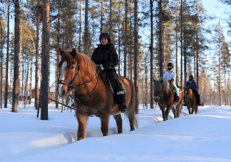 Horse riding in Lapland