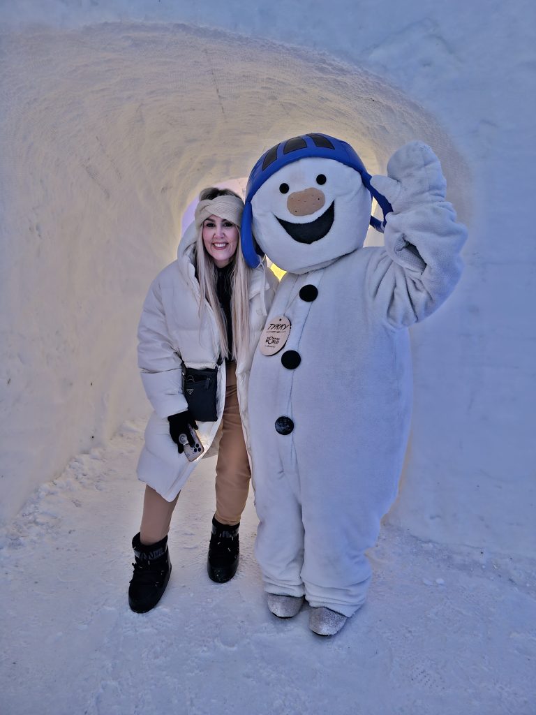 Snowman world characters