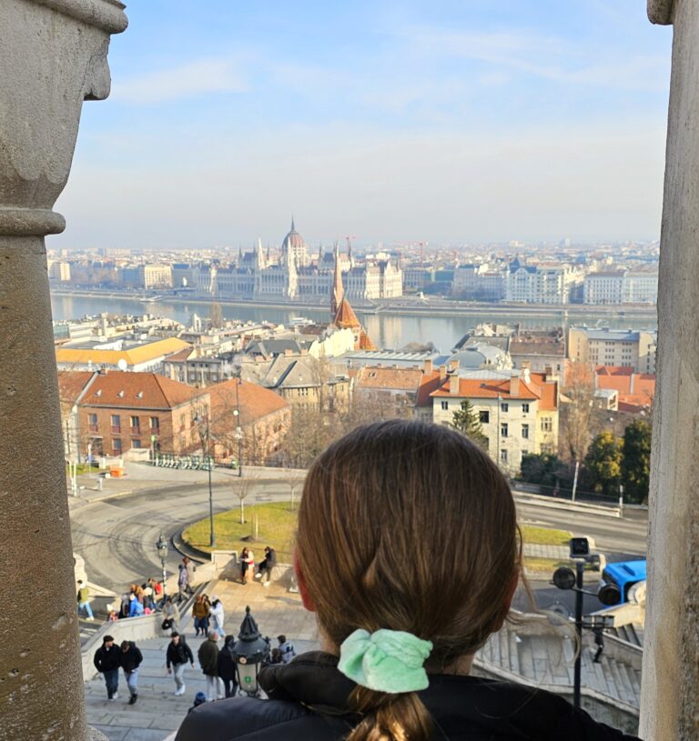 View from Fishermans' Bastion of Budapest Parliament