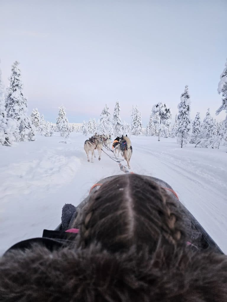 Husky ride in Santa Claus Village