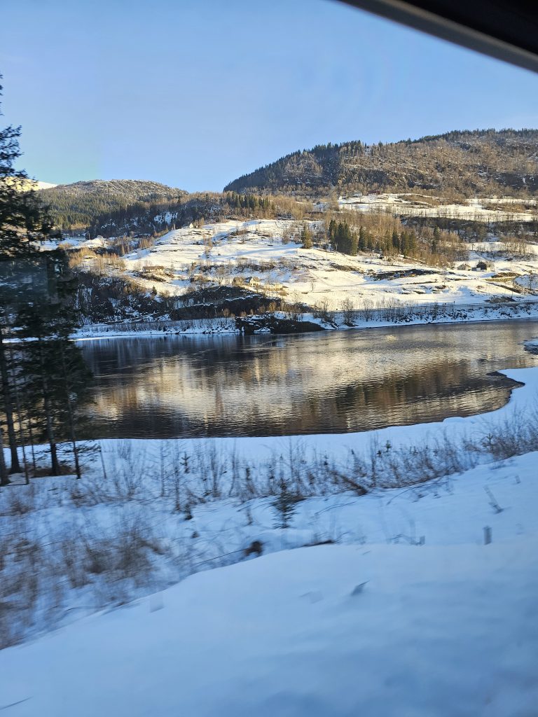 fjords view on the Bergensbanen line
