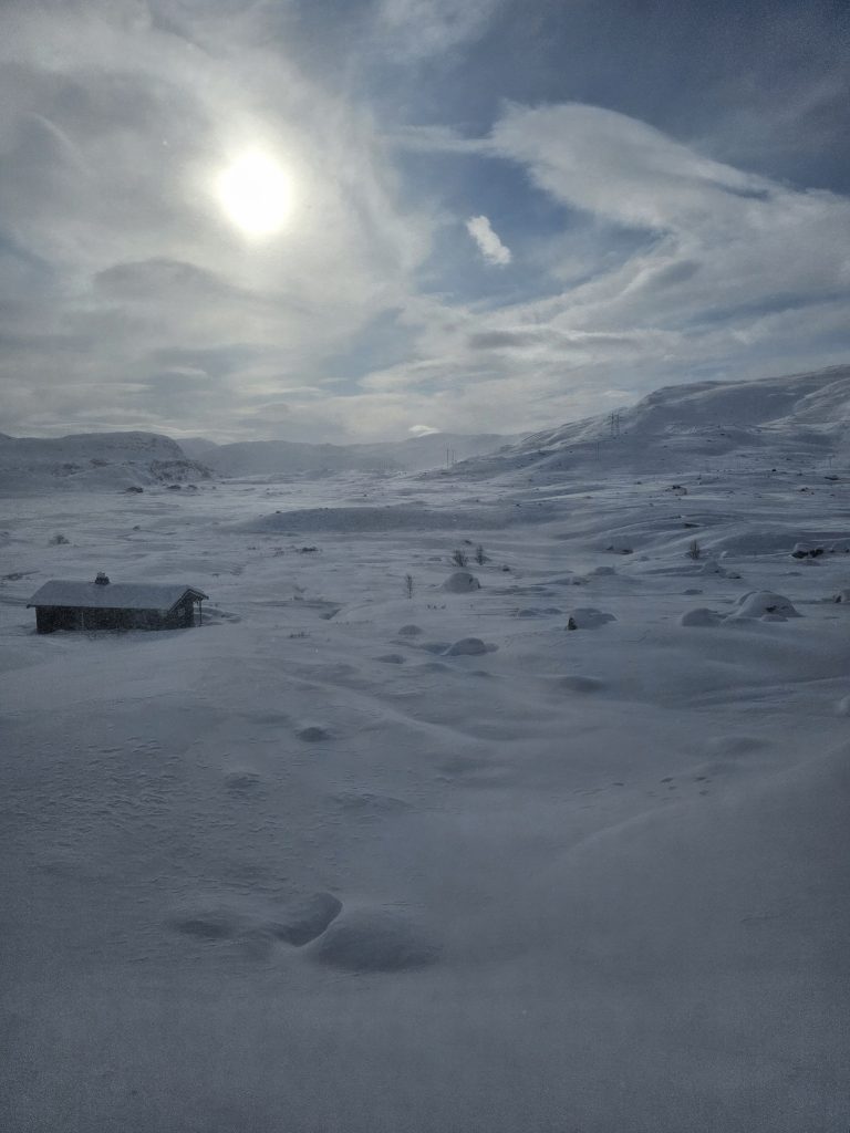 Bergensbanen winter scene from the train