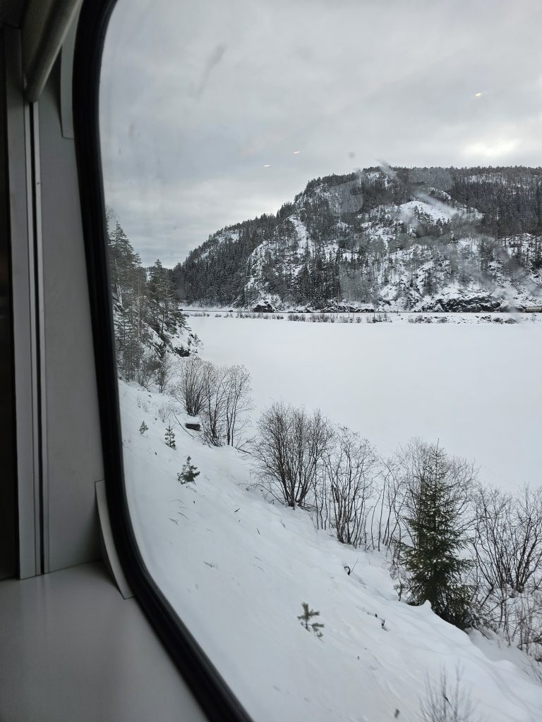Bergensbanen window view of the snow