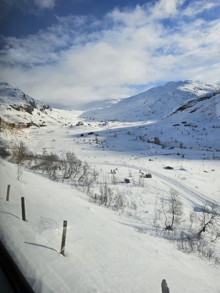 Endless snowy plateau viewed from Bergensbanen window seat