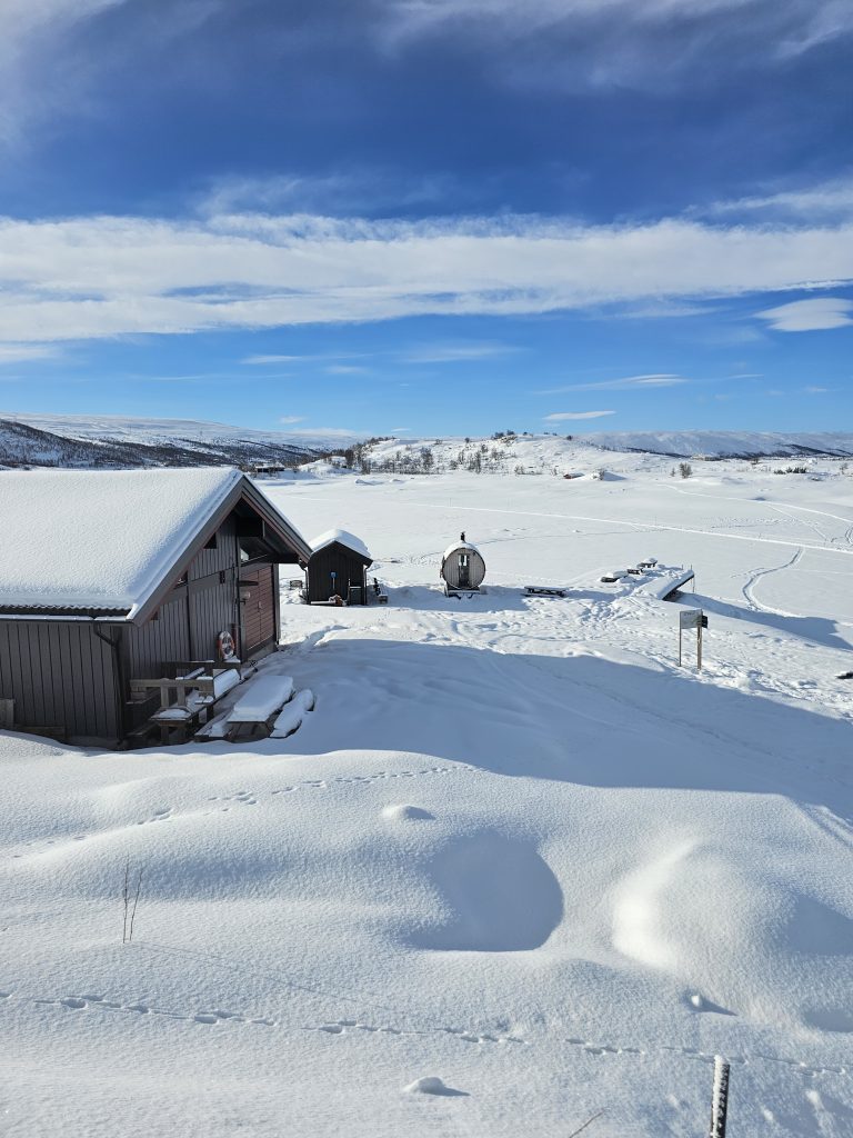 Scenic view of the Bergen Line train in winter conditions