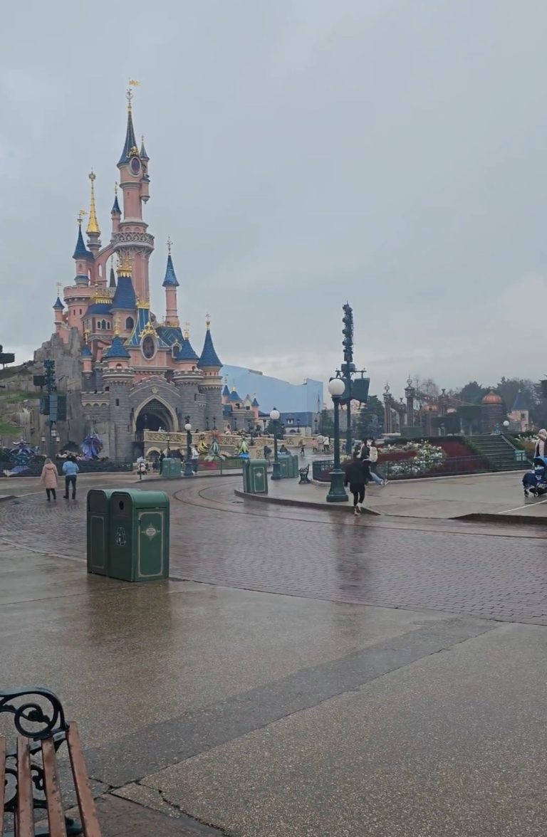 Disneyland Paris Castle in the rain