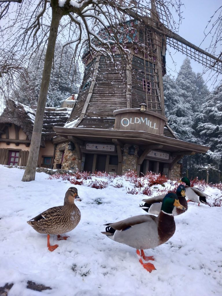 Disneyland Paris in the snow