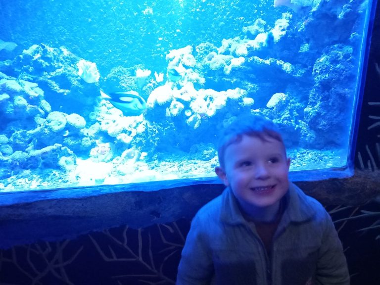 Sea life centre near Disneyland Paris