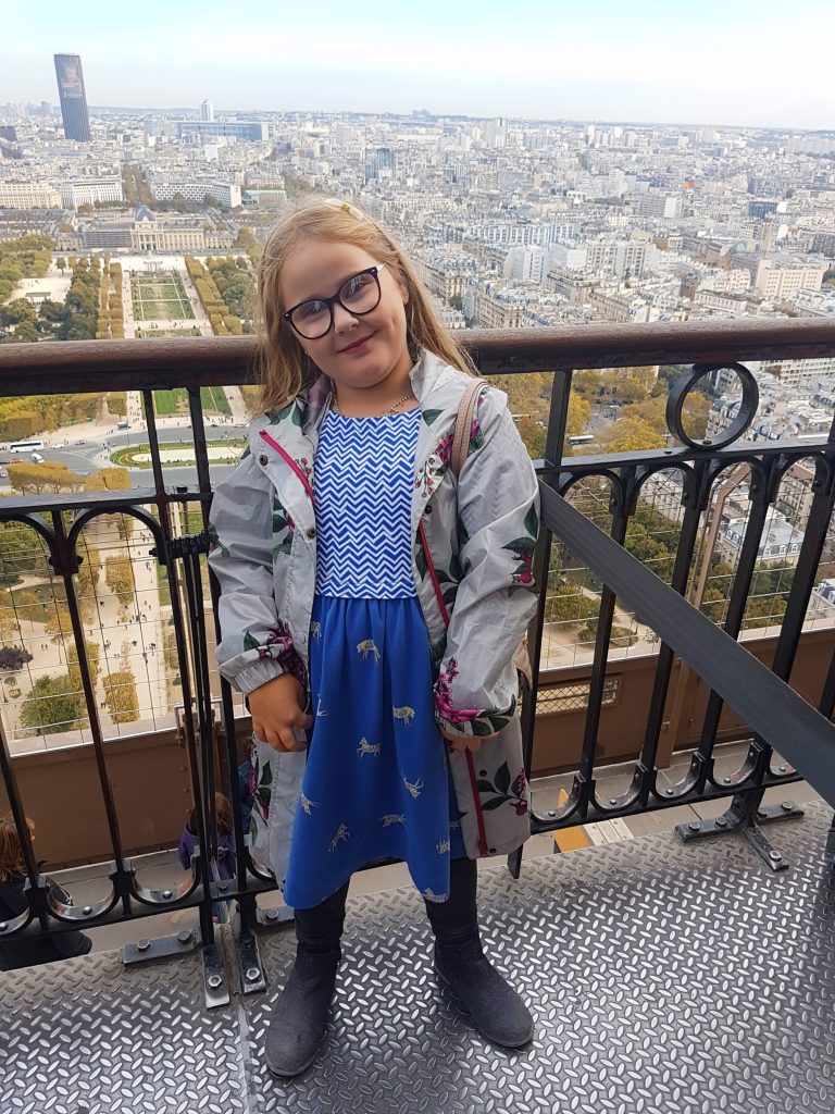 View from the 2nd level Eiffel Tower