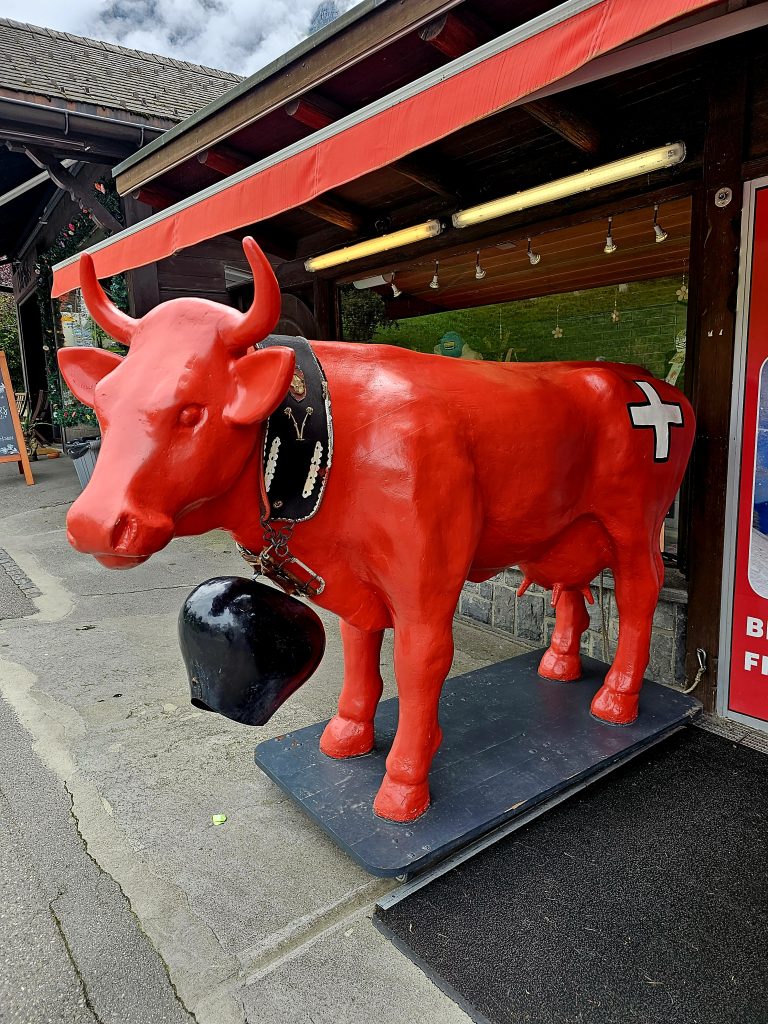 Grindelwald Cow in Street