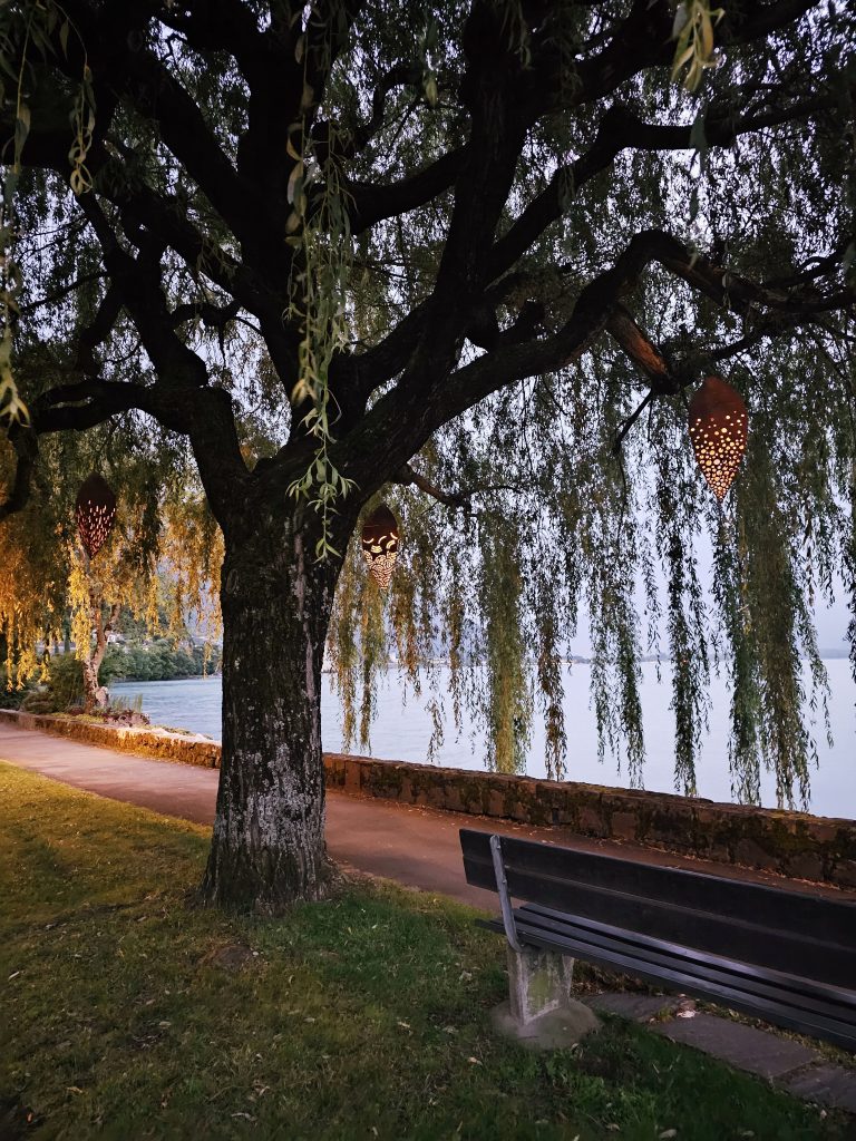 Montreux tree sculptures