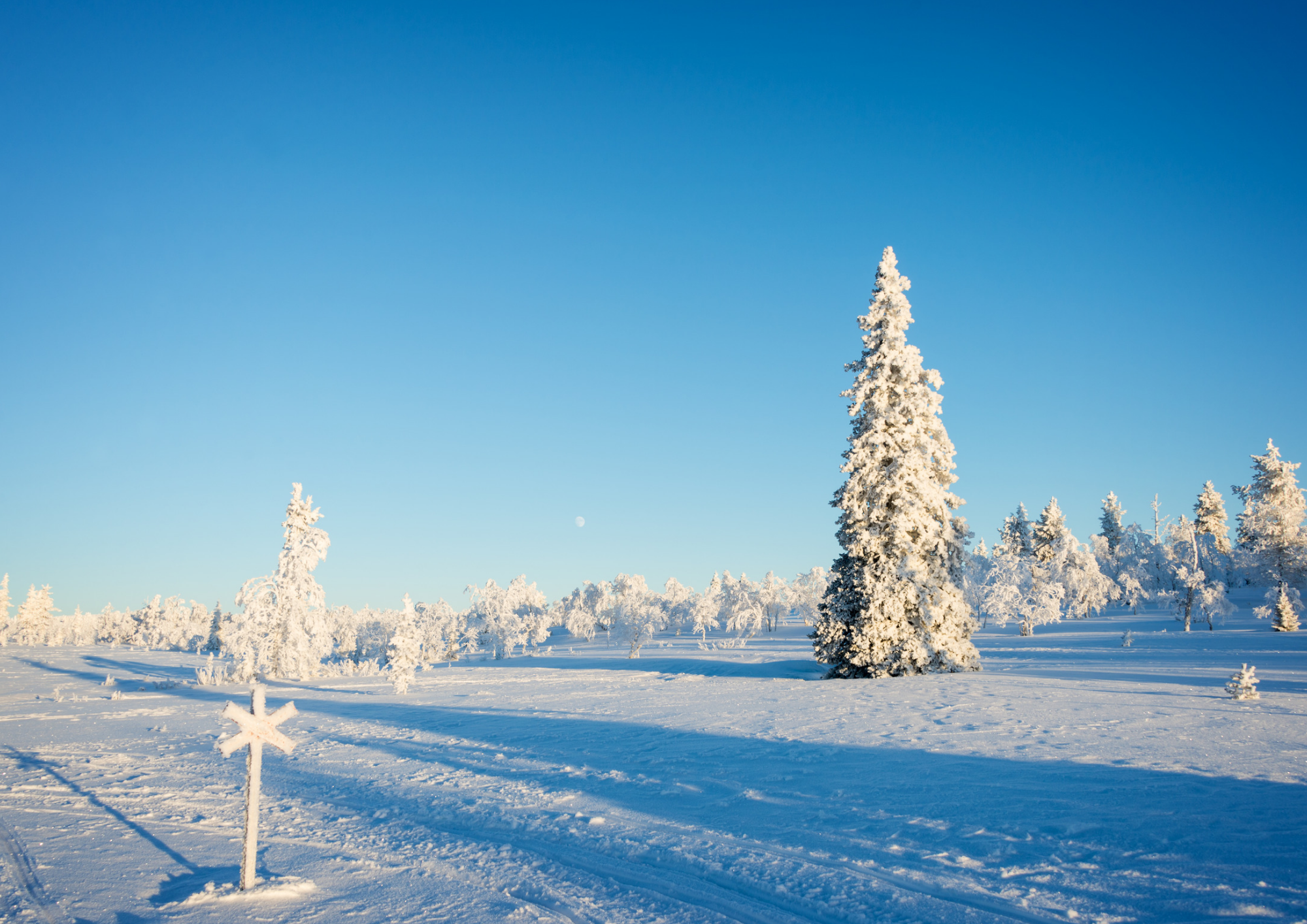 How to plan a diy lapland trip to Saariselka