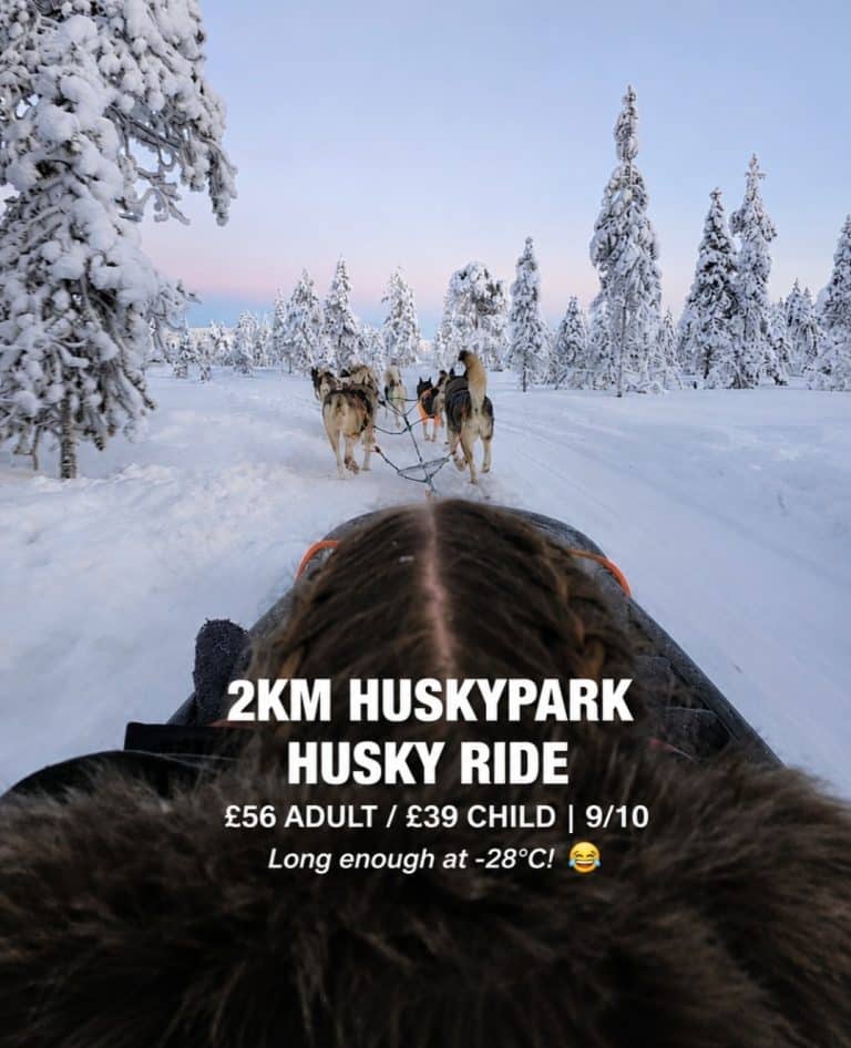Review of Husky Ride in Lapland