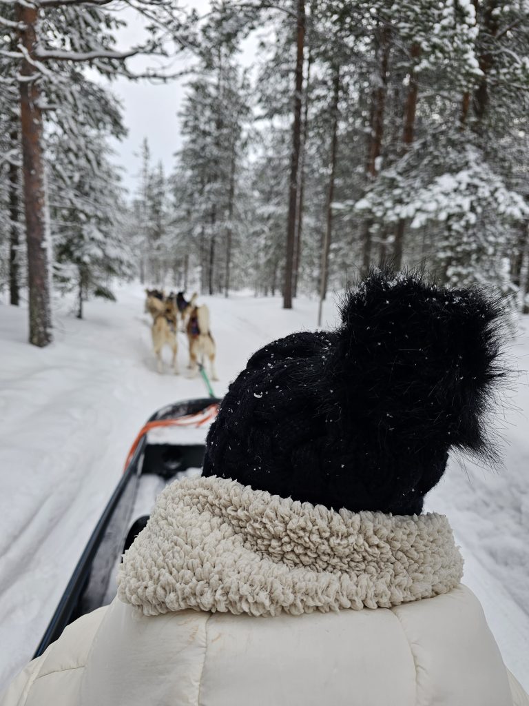 What is there to do in Lapland without kids