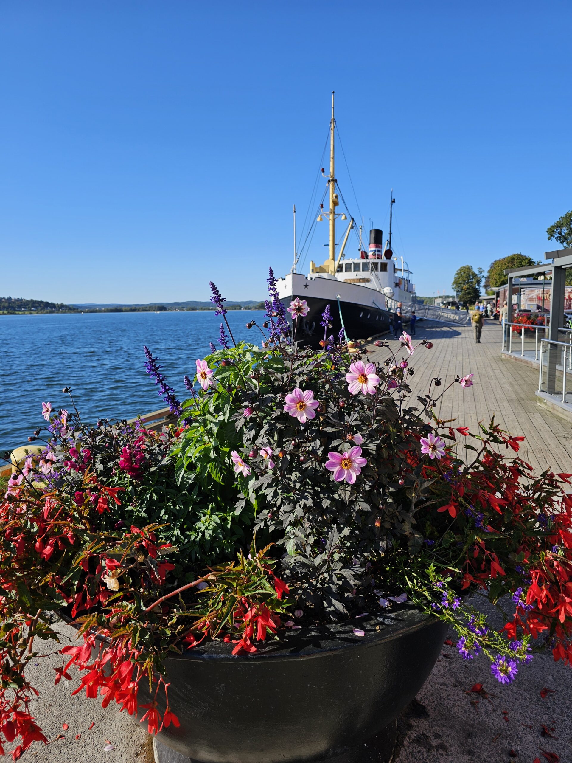How to Get from Oslo Torp Airport to Tønsberg by Train