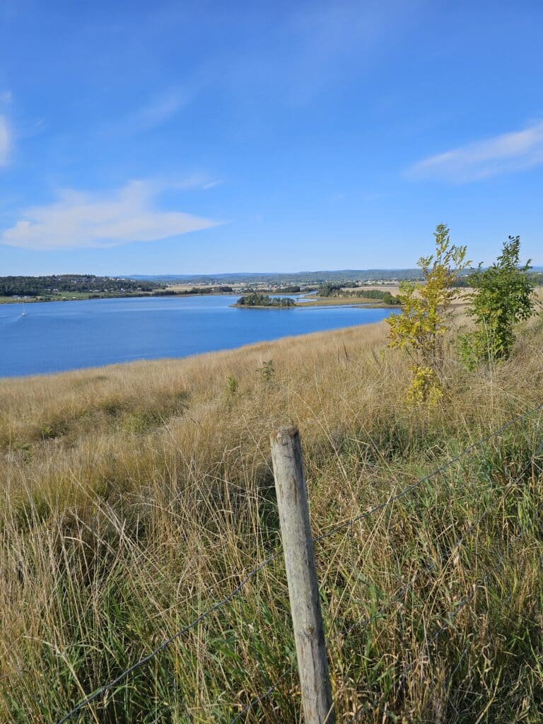 Tonsberg view of Fjords
