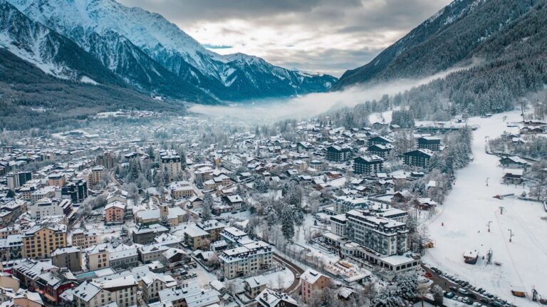 Chamonix from above