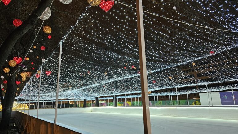 Budapest Ice Rink in January