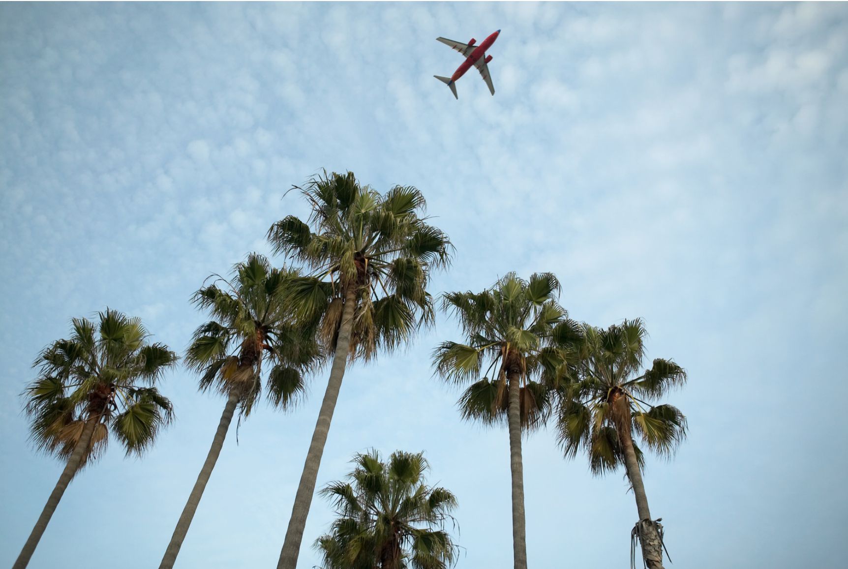 best extreme day trips from Newcastle airport